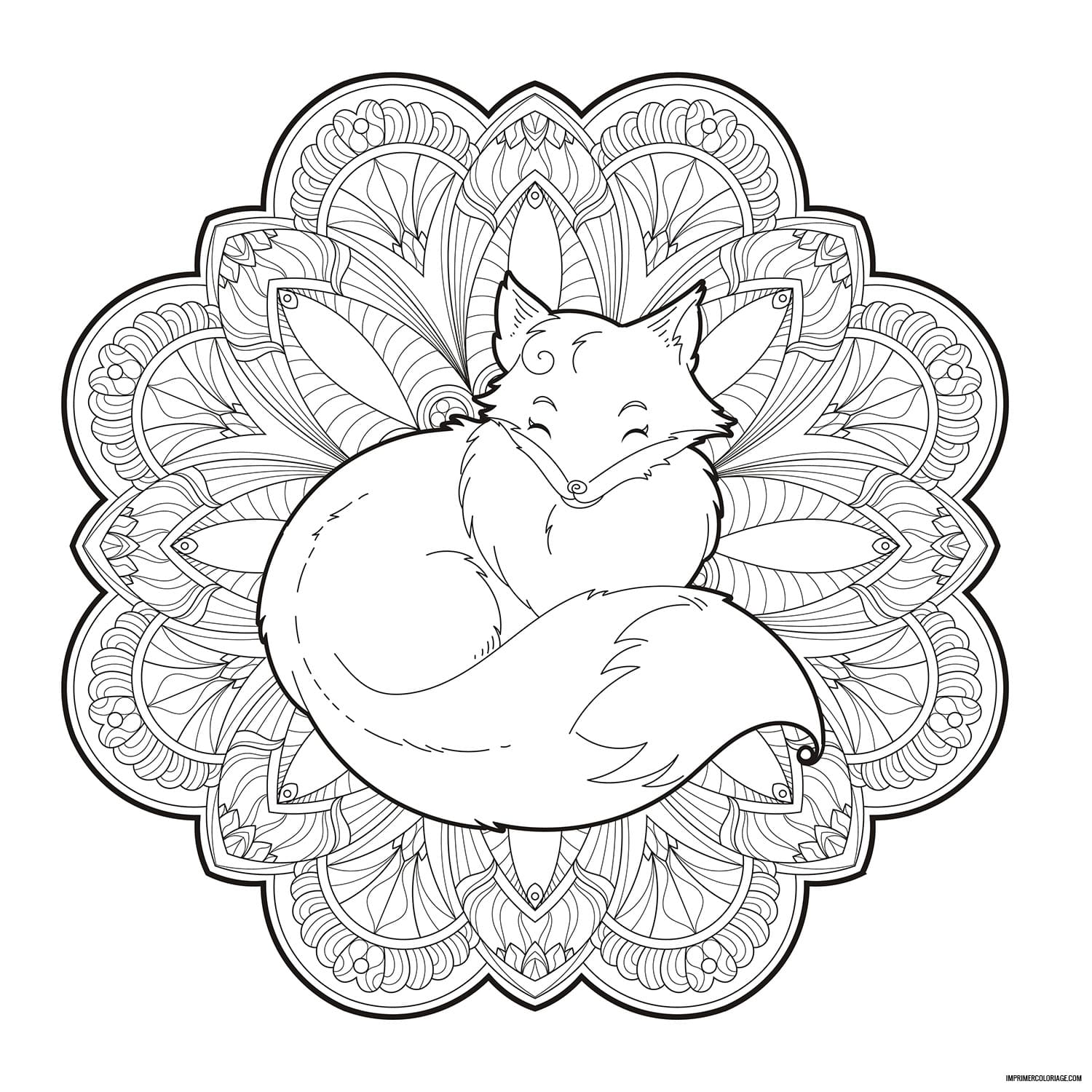 Mandalas à colorier : chats